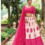 Pink chaniya choli